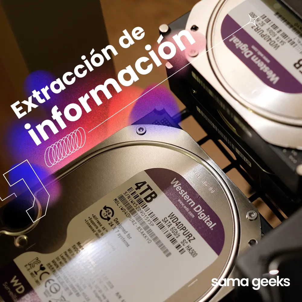 desarrollo de sitios web